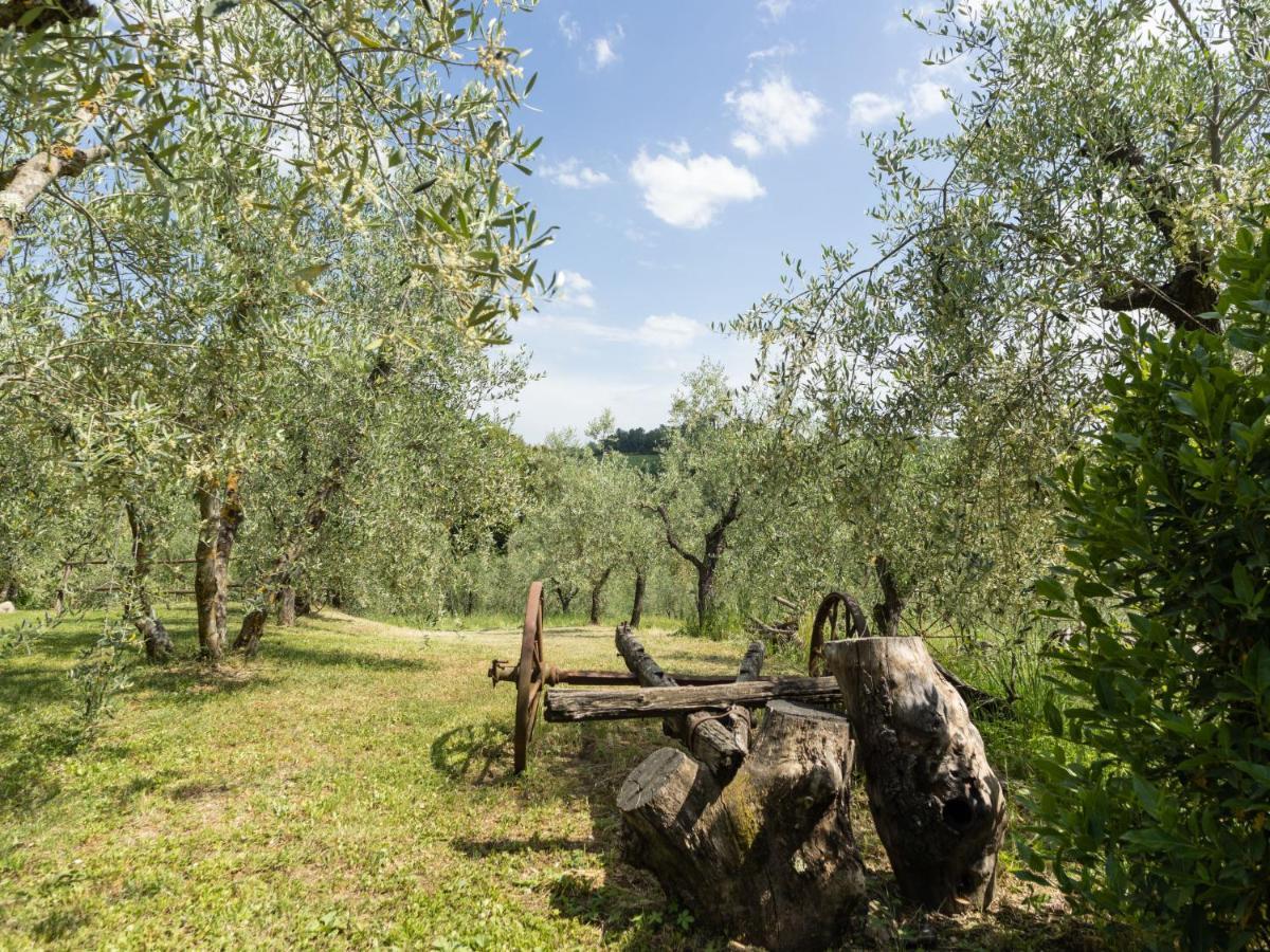 Appartamento Locazione Turistica Ciliegio Monsanto Esterno foto