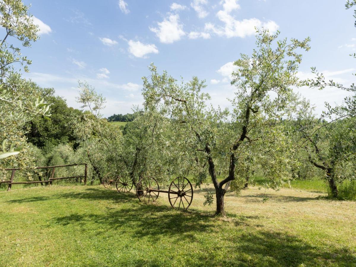 Appartamento Locazione Turistica Ciliegio Monsanto Esterno foto